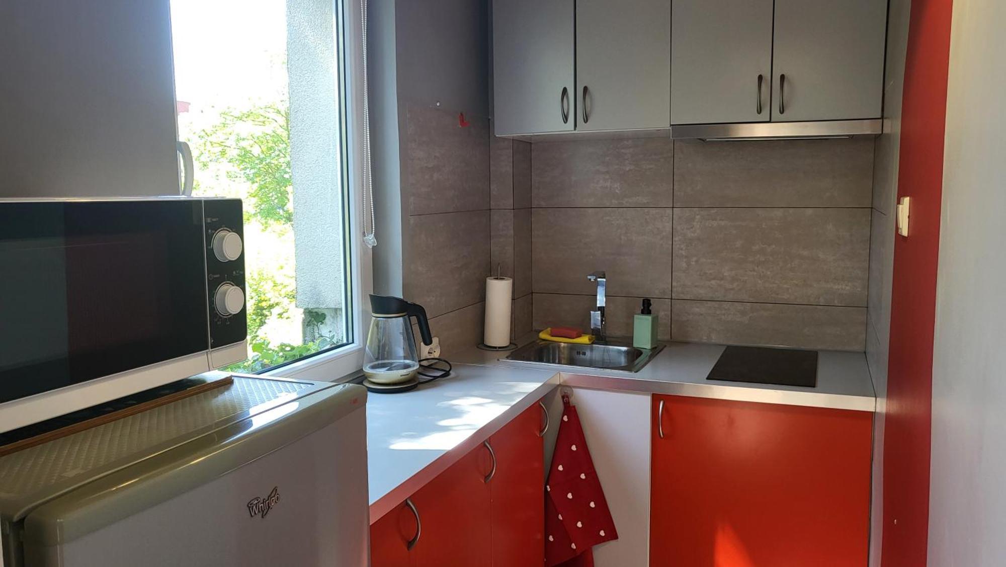 Studiospanie Studio Kapitana Z Balkonem Na Parterze Гданськ Екстер'єр фото